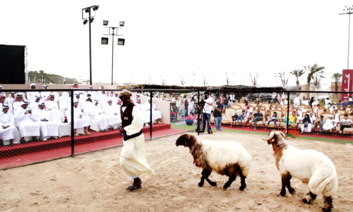 ഹലാൽ ഖത്തർ ഫെസ്റ്റ്​ 21 മുതൽ