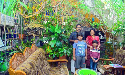 വീട്ടുവളപ്പിൽ വനമൊരുക്കി അധ്യാപക കുടുംബം