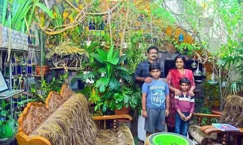 വീട്ടുവളപ്പിൽ വനമൊരുക്കി അധ്യാപക കുടുംബം
