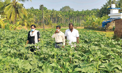 Muhammed is the best farmer in Kasargod district