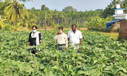 Muhammed is the best farmer in Kasargod district