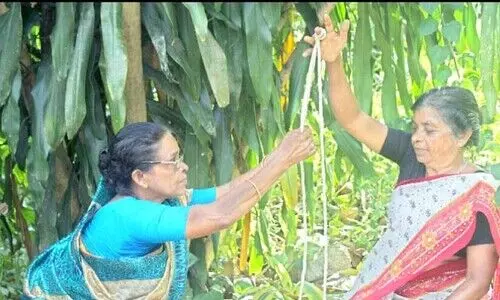 thiri making thiri making