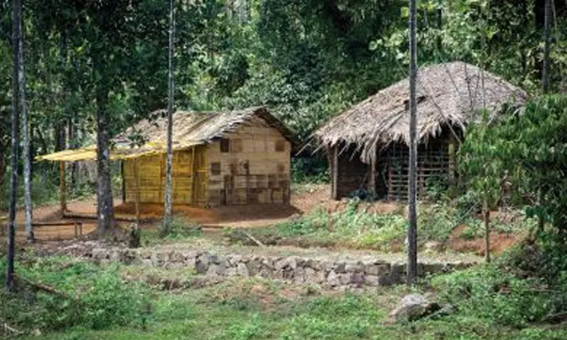 tribal settlement