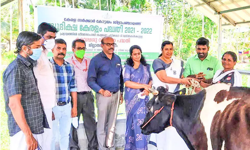 Inauguration of Cow Distribution at District Level
