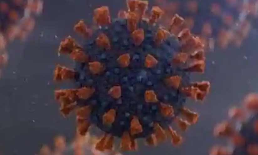 ഒമിക്രോൺ ബാധിച്ചത് എത്രപേർക്ക്?; കണക്കില്ലാതെ ആരോഗ്യവകുപ്പ് ഒമിക്രോൺ ബാധിച്ചത് എത്രപേർക്ക്?; കണക്കില്ലാതെ ആരോഗ്യവകുപ്പ്