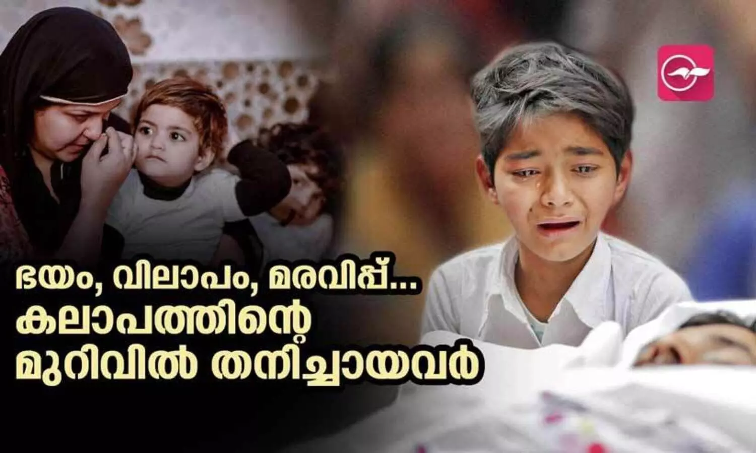 മാമുവിന്റെ ഖബറിനരികിൽ ആ വെള്ളക്കുപ്പായക്കാരനെത്തി, ഡൽഹി കലാപത്തിന്റെ മുറിവുകളുമായി