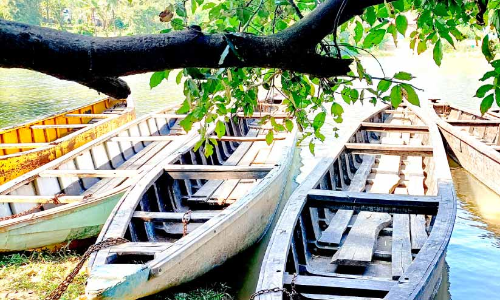 കടത്തൊഴിഞ്ഞ രണ്ടു വർഷം: നാട്ടുകാർക്കും   കടത്തുകാർക്കും ദുരിത കാലം