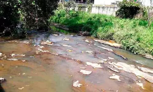 മാലിന്യവാഹിനിയായി കിള്ളിയാർ