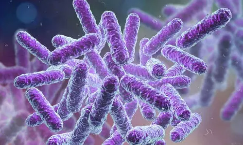 മലപ്പുറത്ത് ഇതുവരെ ഷിഗല്ല സ്ഥിരീകരിച്ചിട്ടില്ല -ഡി.എം.ഒ മലപ്പുറത്ത് ഇതുവരെ ഷിഗല്ല സ്ഥിരീകരിച്ചിട്ടില്ല -ഡി.എം.ഒ