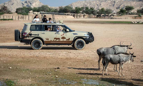 al-ain-safari
