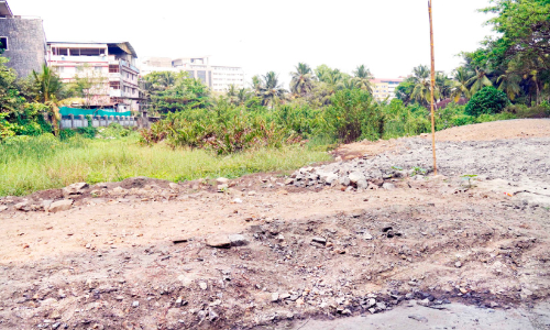 കോട്ടൂളി തണ്ണീർത്തടം മേഖലയിൽ കണ്ടൽ നശിപ്പിക്കലും നികത്തലും