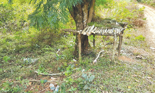 ലഹരി മാഫിയ സംഘങ്ങളുടെ താവളമായി വട്ടക്കുണ്ട്