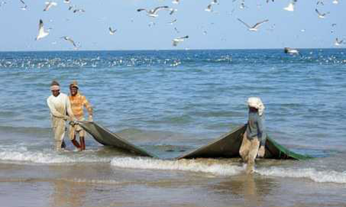 സമുദ്രാതിർത്തി ലംഘനം: 31 ഇന്ത്യൻ മത്സ്യത്തൊഴിലാളികളെ പാകിസ്താൻ പിടികൂടി