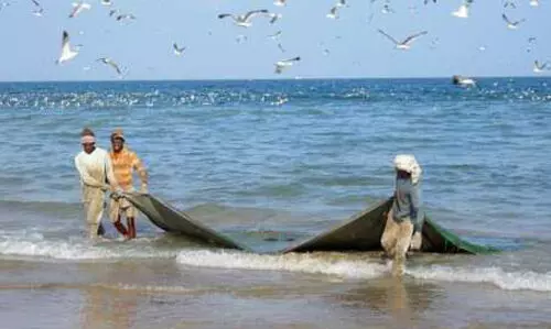 സമുദ്രാതിർത്തി ലംഘനം: 31 ഇന്ത്യൻ മത്സ്യത്തൊഴിലാളികളെ പാകിസ്താൻ പിടികൂടി