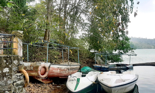 ബോട്ടുകള്‍ നെയ്യാര്‍ഡാമില്‍ തുരുമ്പെടുത്ത് നശിക്കുന്നു