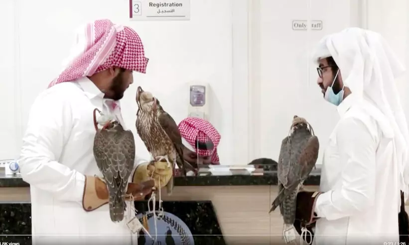 ഇവിടെയുണ്ടൊരു ഫാൽക്കൺ ആശുപത്രി ഇവിടെയുണ്ടൊരു ഫാൽക്കൺ ആശുപത്രി