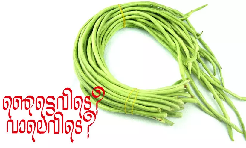 ഞെട്ടെവിടെ? വാലെവിടെ?