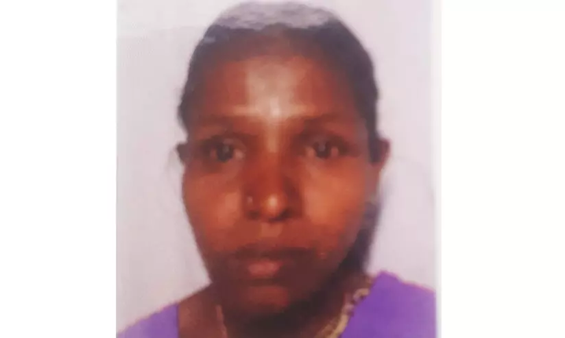 വയനാട്ടിൽ വിറക് ശേഖരിക്കാൻ പോയ ആദിവാസി വനിതയെ കാട്ടാന കൊന്നു വയനാട്ടിൽ വിറക് ശേഖരിക്കാൻ പോയ ആദിവാസി വനിതയെ കാട്ടാന കൊന്നു