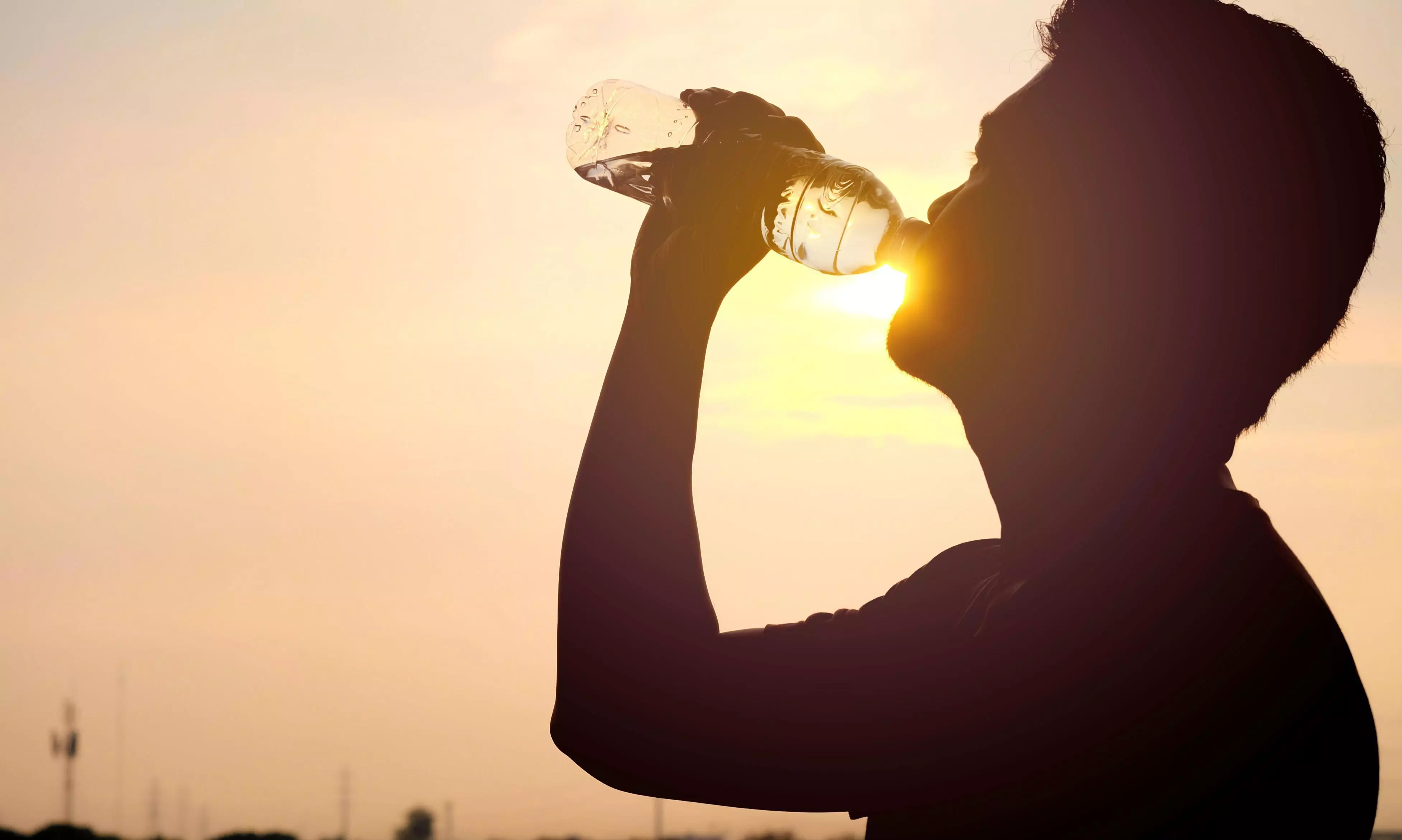 ചൂടേറുന്നു; വാടിവീഴാതിരിക്കാൻ സ്വീകരിക്കാം ഈ മുൻകരുതലുകൾ ചൂടേറുന്നു; വാടിവീഴാതിരിക്കാൻ സ്വീകരിക്കാം ഈ മുൻകരുതലുകൾ