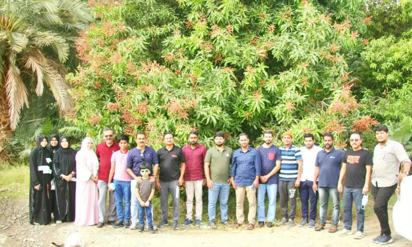 ജിദ്ദ ചങ്ങാതിക്കൂട്ടം അൽ ഖുവാർ കൃഷിയിടം സന്ദർശിച്ചു ജിദ്ദ ചങ്ങാതിക്കൂട്ടം അൽ ഖുവാർ കൃഷിയിടം സന്ദർശിച്ചു