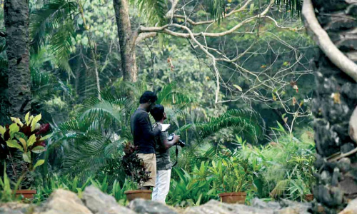 calicut university campus
