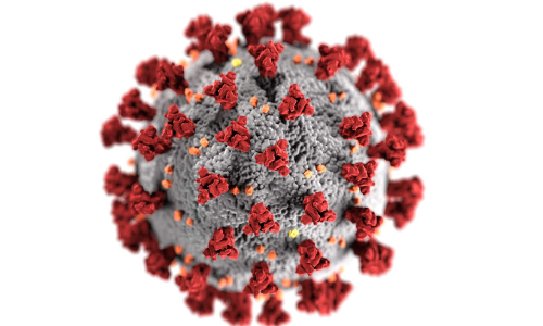 കോ​വി​ഡ്​: 416 പു​തി​യ രോ​ഗി​ക​ൾ