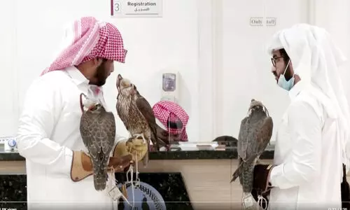 ഇവിടെയുണ്ടൊരു ഫാൽക്കൺ ആശുപത്രി