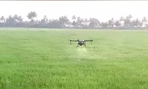 kuttanad drone agriculture