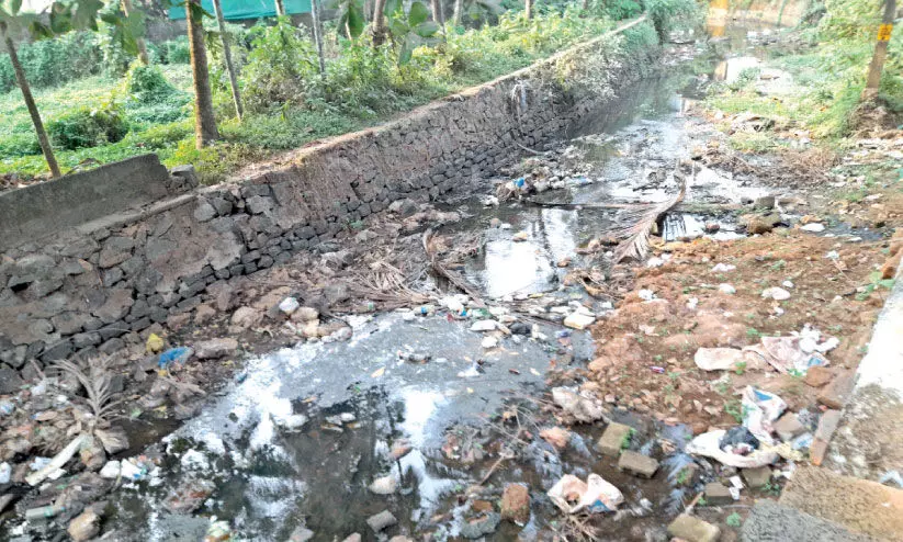 Kondotty in fear of disease Kondotty in fear of disease