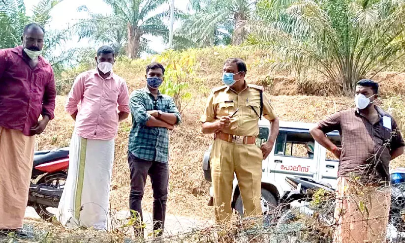 എണ്ണപ്പനത്തോട്ടത്തില്‍ കന്നുകാലി മോഷണം; ഇറച്ചി കടത്ത്​ സംഘം സജീവമാകുന്നു