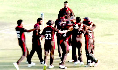 യു.എ.ഇ ക്രിക്കറ്റ്​ ടീം ട്വന്‍റി20 ലോകകപ്പിന്​