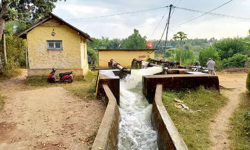നഞ്ച നൽകിയ ഉശിരോടെ പുഞ്ചയിലേക്ക്... നഞ്ച നൽകിയ ഉശിരോടെ പുഞ്ചയിലേക്ക്...
