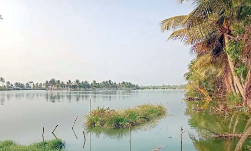 History of Eramalloor