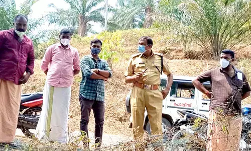 എണ്ണപ്പനത്തോട്ടത്തില്‍ കന്നുകാലി മോഷണം; ഇറച്ചി കടത്ത്​ സംഘം സജീവമാകുന്നു