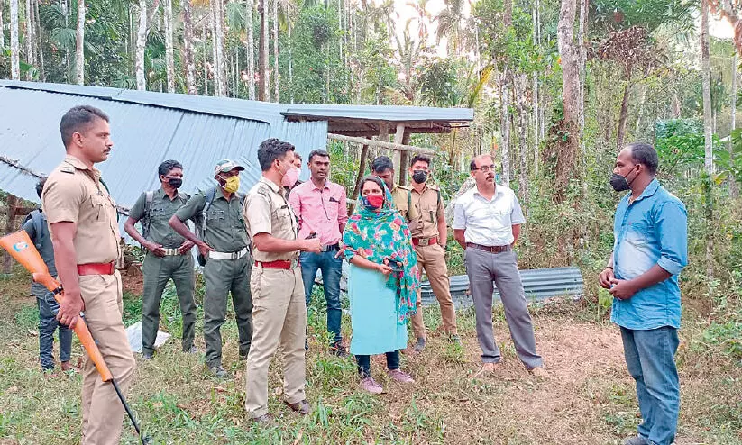 മന്ദംകൊല്ലിയിലെ കടുവപ്പേടി ഒഴിയുന്നില്ല; മുളപൊട്ടി വിവാദങ്ങളും മന്ദംകൊല്ലിയിലെ കടുവപ്പേടി ഒഴിയുന്നില്ല; മുളപൊട്ടി വിവാദങ്ങളും