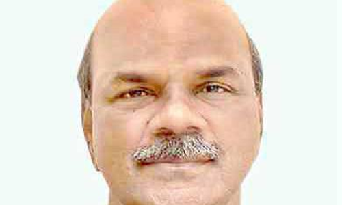 Collector from Fisherman