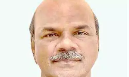 Collector from Fisherman