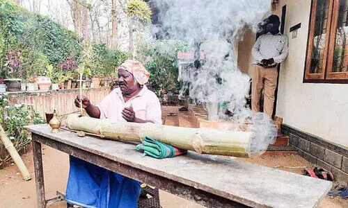An immigrant farmer with a bamboo cannon to chase an elephant