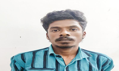 theft case theft case