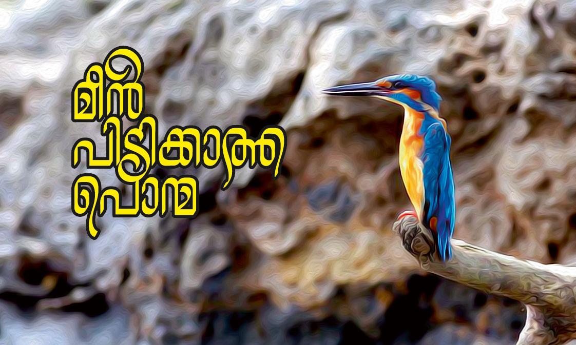 മീൻ പിടിക്കാത്ത പൊന്മ മീൻ പിടിക്കാത്ത പൊന്മ