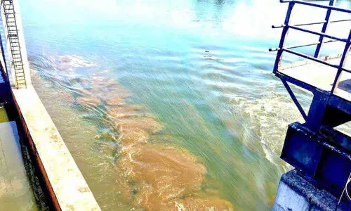 പാതാളം ഷട്ടർ തുറന്നാൽ പെരിയാറിൽ മാലിന്യം