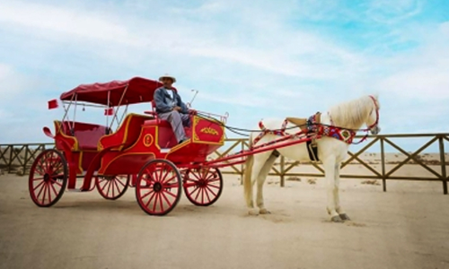 കി​ങ്​ ഫൈ​സ​ൽ  കോ​ർ​ണി​ഷി​ൽ കു​തി​ര വ​ണ്ടി​ക​ൾ ല​ഭ്യ​മാ​ക്കും