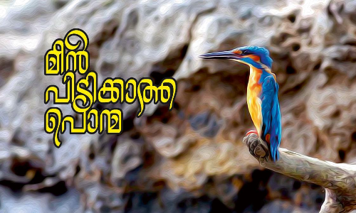 മീൻ പിടിക്കാത്ത പൊന്മ