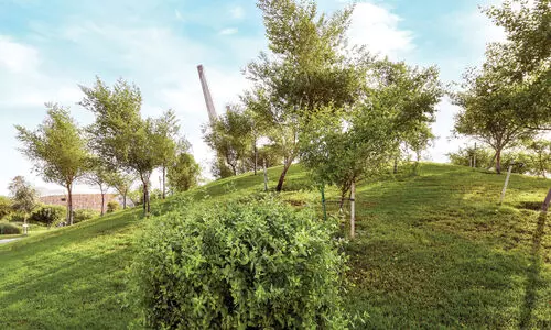 ഇന്ന്​ ദേശീയ പരിസ്ഥിതി ദിനം; സംരക്ഷണത്തിന്​ പ്രോത്സാഹനവുമായി രാജ്യം