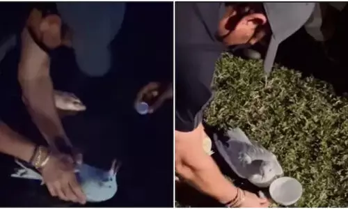 പരിക്കേറ്റ് തളർന്ന പക്ഷിക്ക് രക്ഷകനായി സച്ചിൻ ടെന്‍ഡുൽക്കർ; തരംഗമായി വിഡിയോ