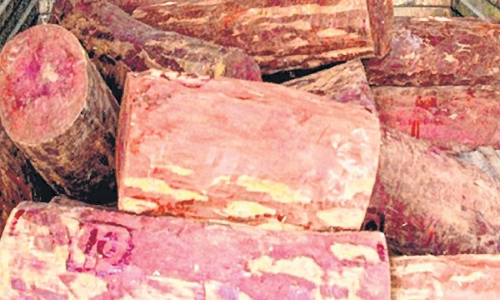 sandalwood-smuggling
