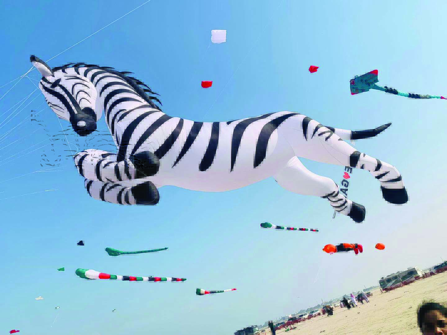 ദേശീയ ദിനാഘോഷത്തിന് പൊലിമകൂട്ടി പട്ടംപറത്തൽ ഉത്സവം ദേശീയ ദിനാഘോഷത്തിന് പൊലിമകൂട്ടി പട്ടംപറത്തൽ ഉത്സവം