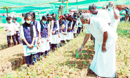 Permanent Nursery for Forest Department
