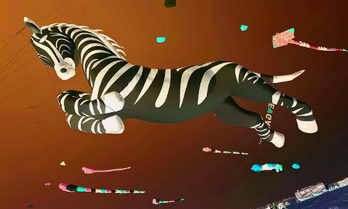 ദേശീയ ദിനാഘോഷത്തിന്​ പൊലിമകൂട്ടി പട്ടംപറത്തൽ ഉത്സവം