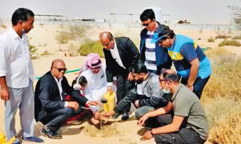 മരുഭൂമിയിൽ തണൽ വിരിക്കുന്ന അൽ അൻസാബിന്​ ആദരം